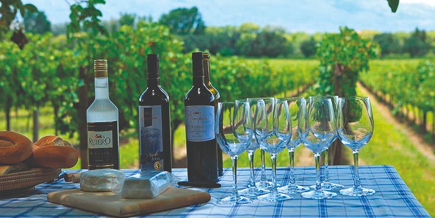 Ruta del Vino y Singani